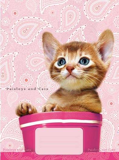 ISKOLAI FÜZET A/5 CONCARD