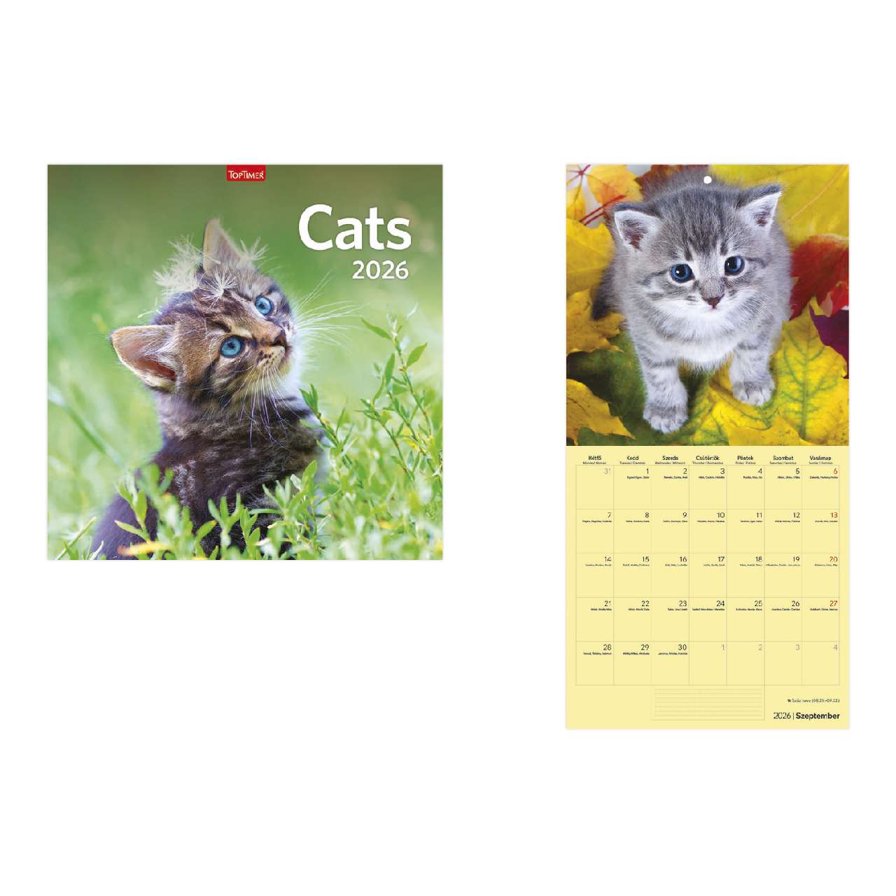 FALINAPTÁR 2026 T098-02A, 290 MM X 580 MM, CATS