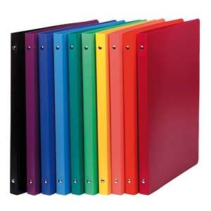 GYŰRŰSKÖNYV A/4 2 GYŰRŰS, PP, 20 MM, VEGYES SZÍN