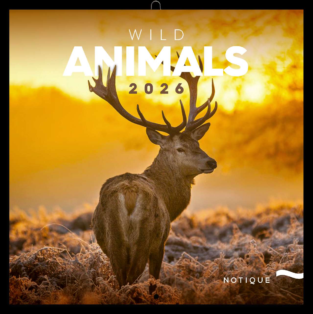 FALINAPTÁR 2026 6097-WA, LEMEZES, 30X30 CM, WILD ANIMALS